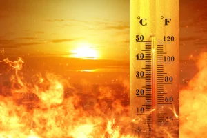 canicule et obésité