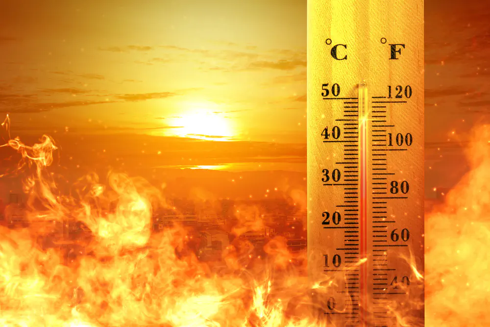 canicule et obésité